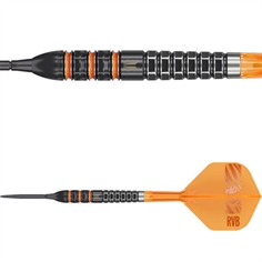 Raymond van Barneveld RVB 95K 95% SP 21 gram